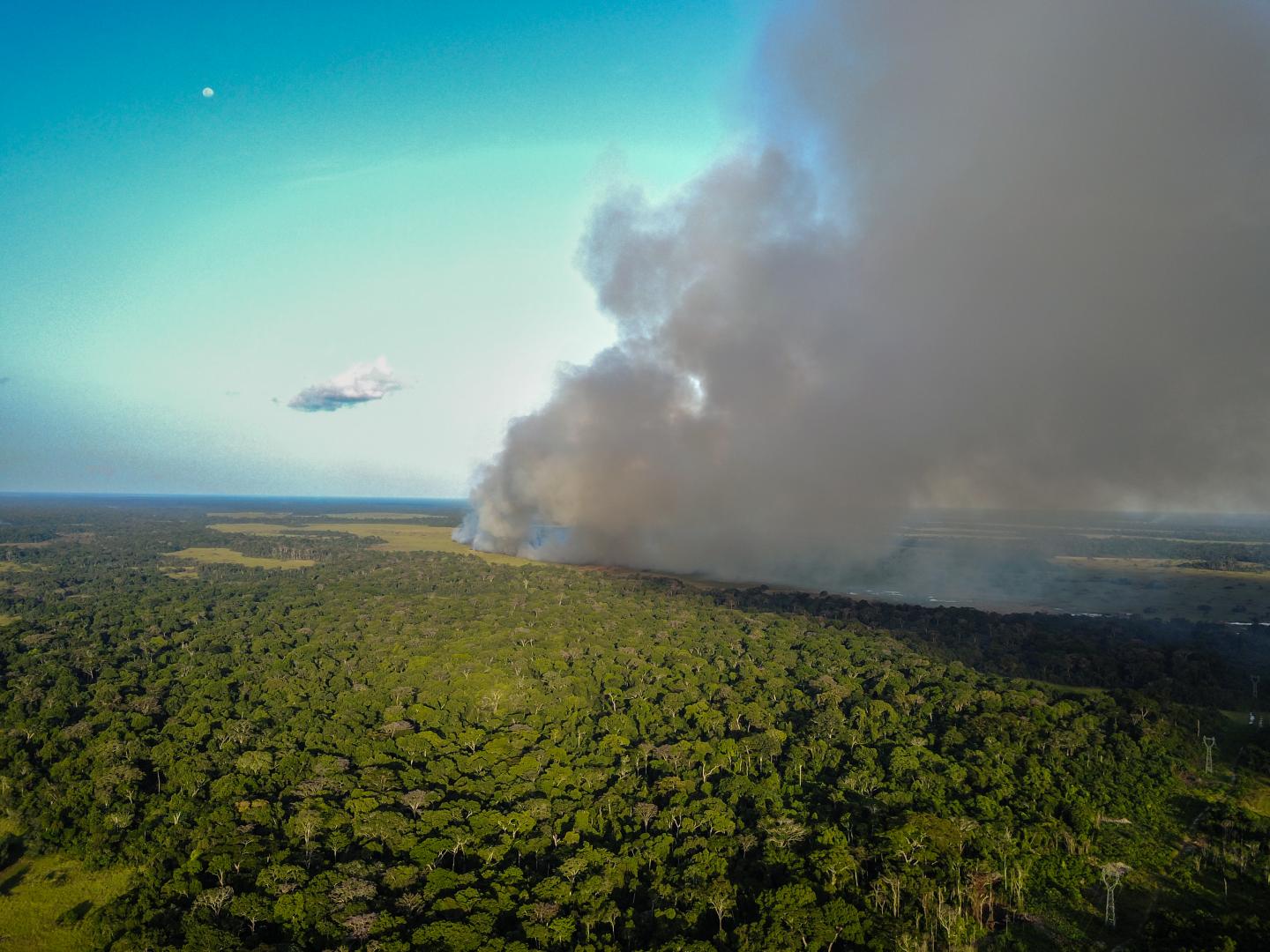 Congo Forest Fire