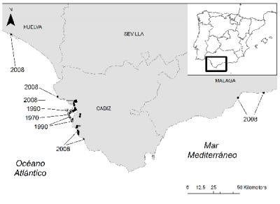 <i>Galenia pubescens</i> Distribution in Spain