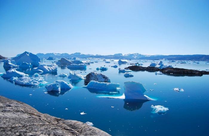 The Arctic warming and sea ice melting