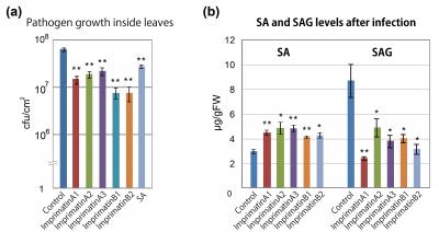 Original Screening Method for Immune Response Modulators