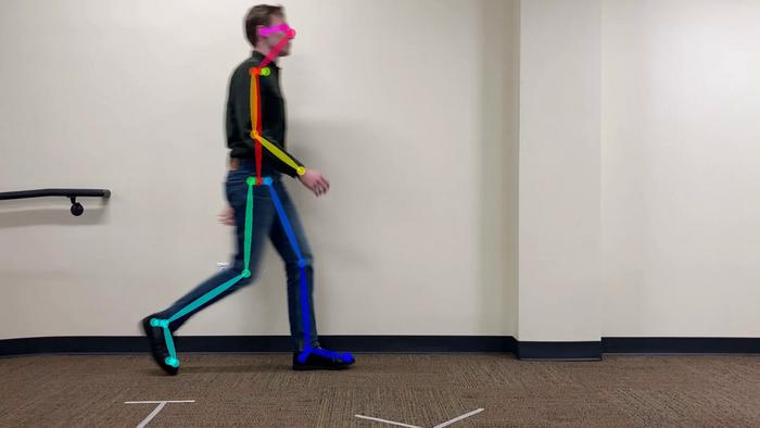 Example of Gait Video Tracking
