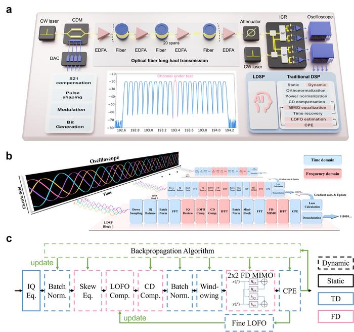 Working principle of LDSP in optical fiber communication.