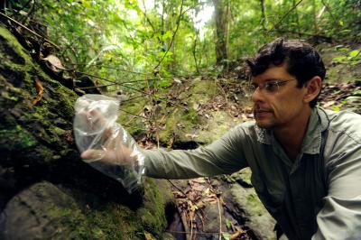 Roberto Ibañez, Smithsonian Tropical Research Institute 