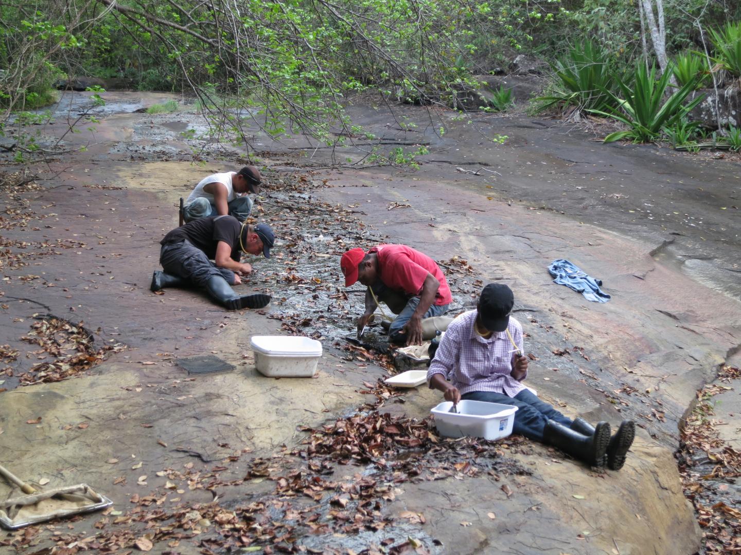 Partnering with Local Communities