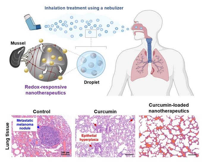 Schematic Diagram of Inhalable Mucoadhesive Nano-anticancer Drug Based on Mussel Adhesive Proteins