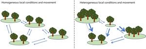 (Figure 1) Contrast between idealized homogeneous and realistic heterogeneous metapopulations Caption