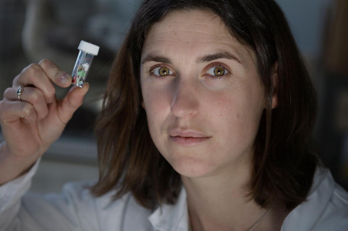 Sarah Gall, University of Plymouth