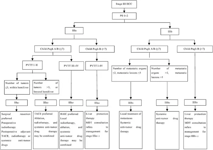 Staging and treatment routes of refined diagnosis, treatment, and management of advanced primary liver cancer