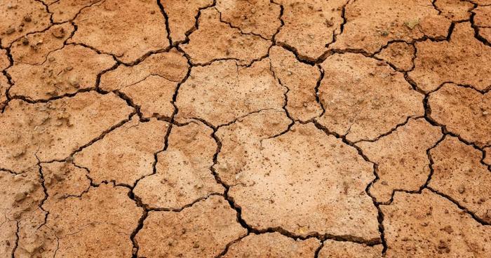 Soil displaying cracks in drought