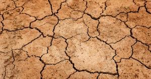 Soil displaying cracks in drought