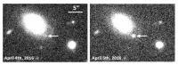 A Type Ia Supernova Detected Within a Day After Exploding