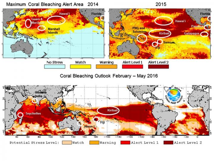 A Crucial Time for Reefs: Climate Change, El Ni&ntilde;o, and the 2014-16 Global Bleaching Event