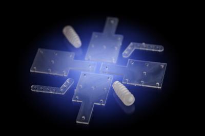 Implants Made of Biodegradable Polymers