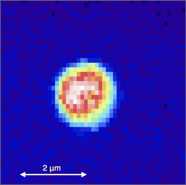 Image Recorded on the New Microscope Developed in this Research