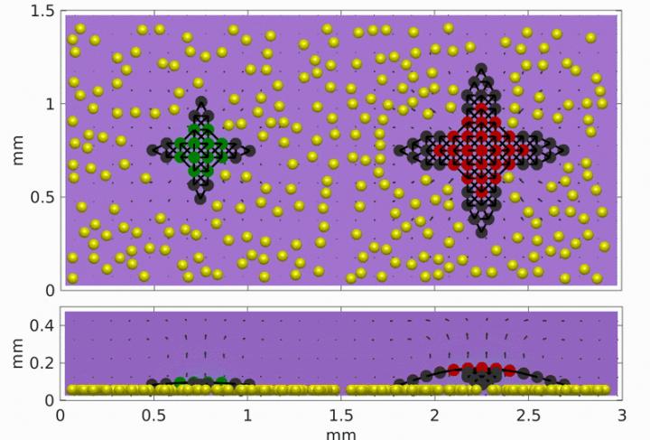 Survival of the Fittest