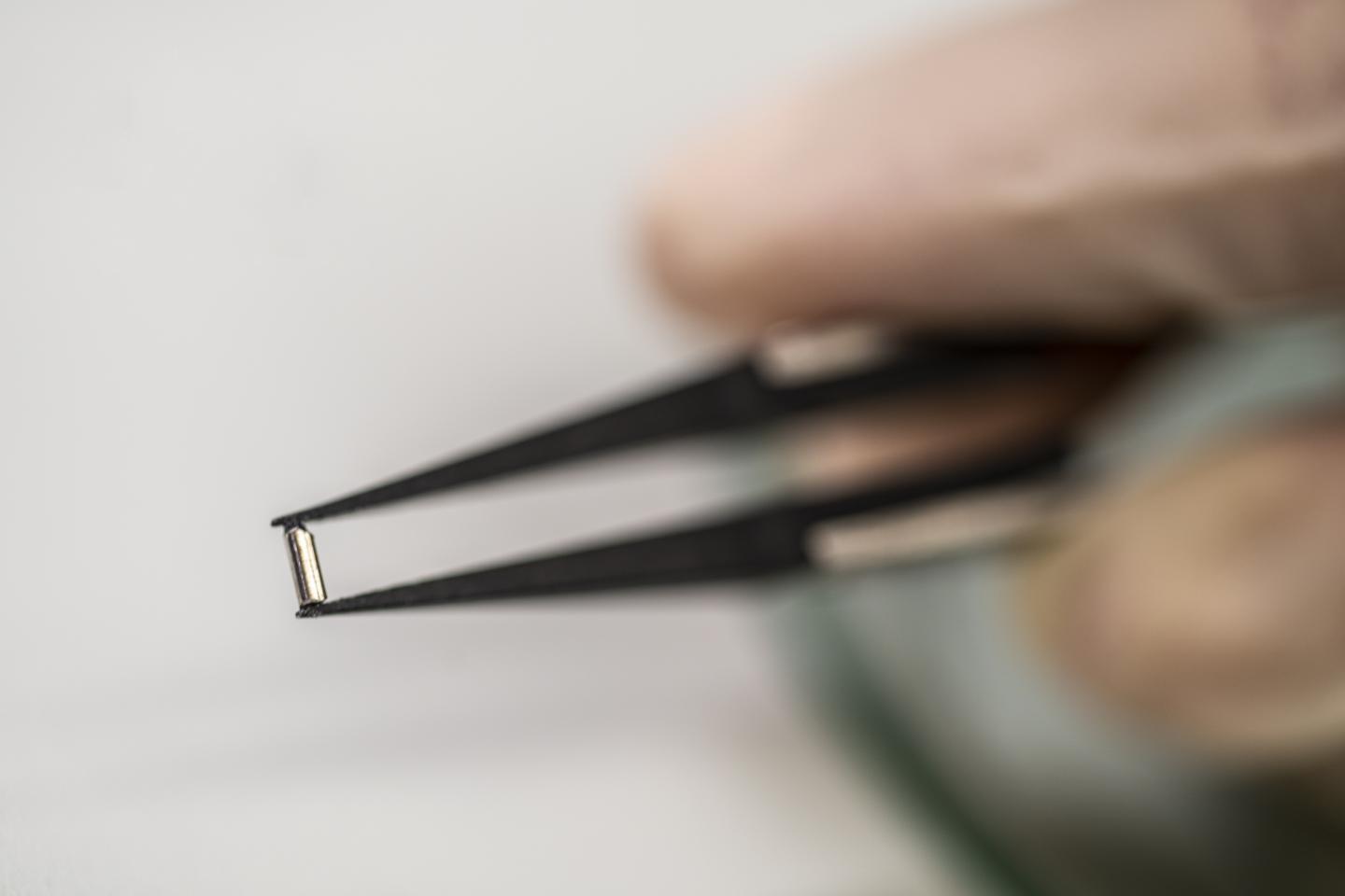 Direct-to-tumor Nanodevice Developed by Houston Methodist Delivers Immunotherapy