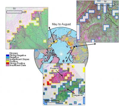 Photosynthetic Activities in Northern Circumpolor High Latitudes
