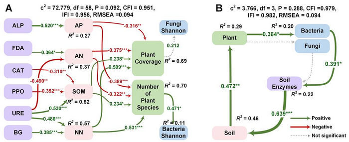 Soil microbes-mediated enzymes promoted the ecological recovery of mine on Loess Plateau