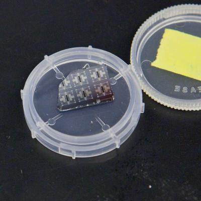 Synaptic Transistors