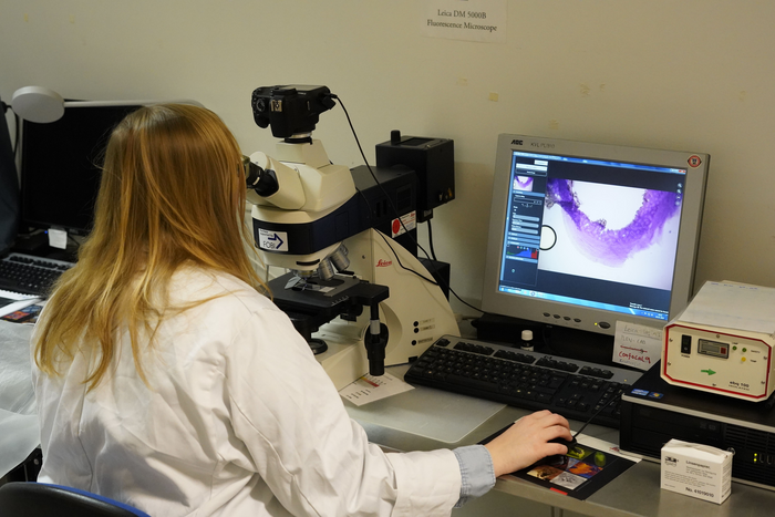 Dr Sophie Lund Rasmussen at microscope