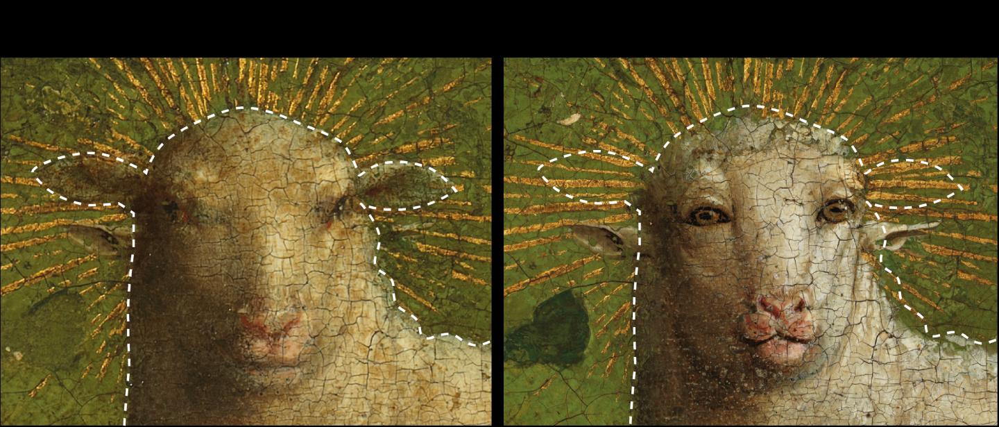 Color Image of the Lamb