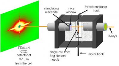 Set-up of the Experiment