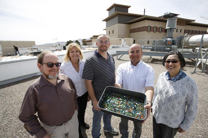 Microinvertebrates Research