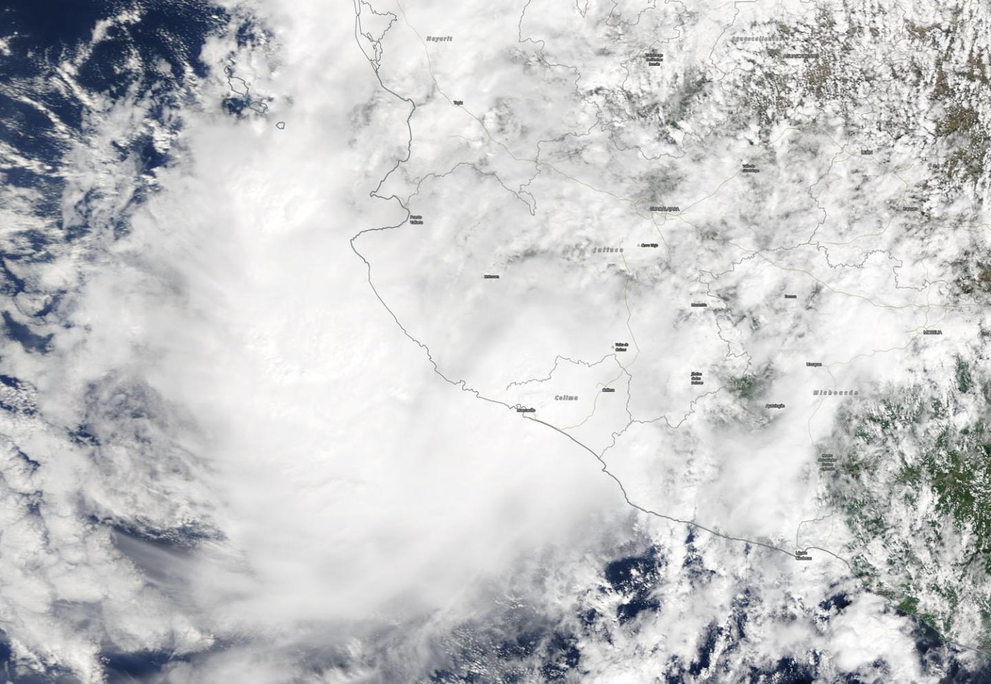 Terra Image of Priscilla