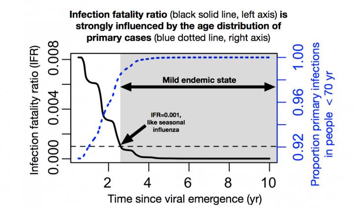 Model for SARS-CoV-2 transition to endemicity