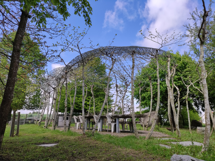 Prof Ludwig and his team build with living materials.
