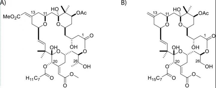 Synthetic Molecule 'Kicks and Kills' Some Persistent HIV in Mice