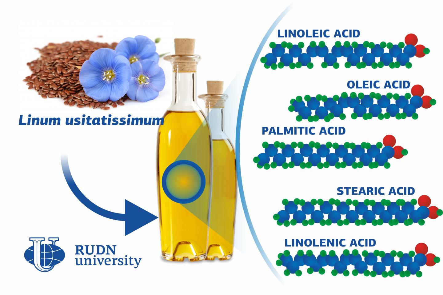 Biologists from RUDN University Discovered the Secret of Flaxseed Oil with Long Shelf Life