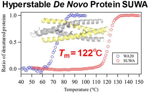 Hyperstable de novo protein SUWA