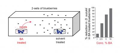 Experimental Results