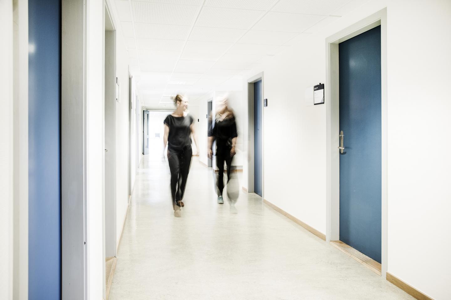 Aarhus BSS at Aarhus University