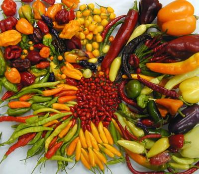 Varieties of 4 Domesticated Chiles