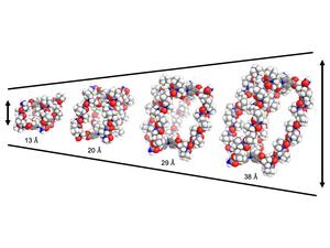 Image to accompany release "Chicken feathers to deliver chemotherapy drugs and repair enzymes"