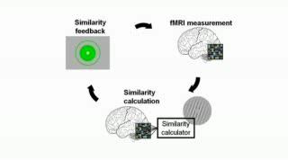 Plasticity in the Adult Visual Cortex (2 of 2)