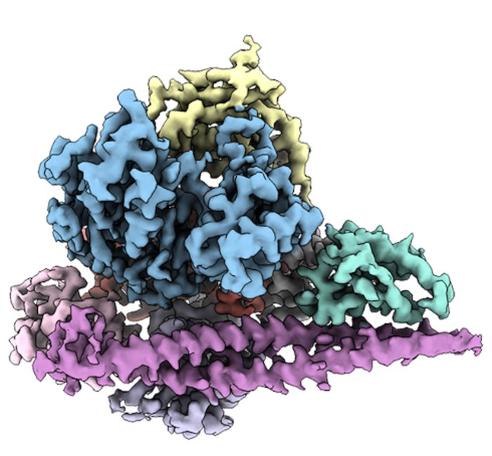 Three-dimensional PI3Kα