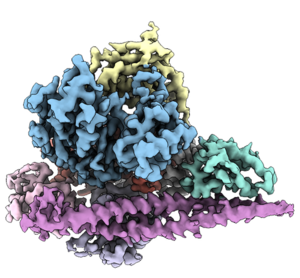 Three-dimensional PI3Kα