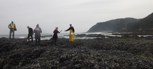 Oregon rocky intertidal zone