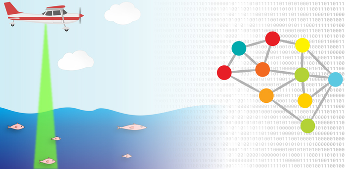 Aerial surveys can detect fish stocks in bodies of water. A new machine learning technique could speed up analysis of the data collected during the surveys.