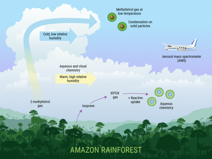 Amazon rainforest atmosphere