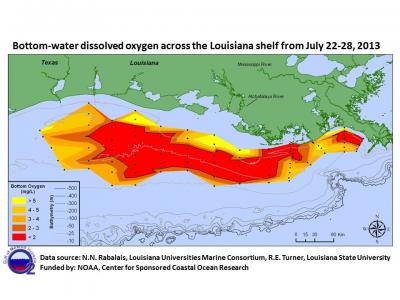 Bottom-Water Dissolved Oxygen Across the Louisiana Shelf July 21-28, 2013
