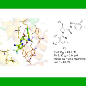 Novel Polθ Inhibitors for BRCA-deficient Cancers