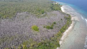 Drone image of the mangrove dieback on HDh. Neykurendhoo in the Maldives.