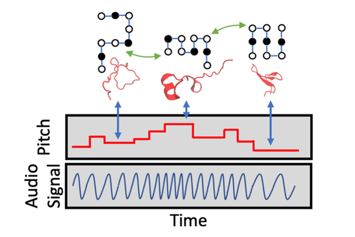 Model of the protein-folding process