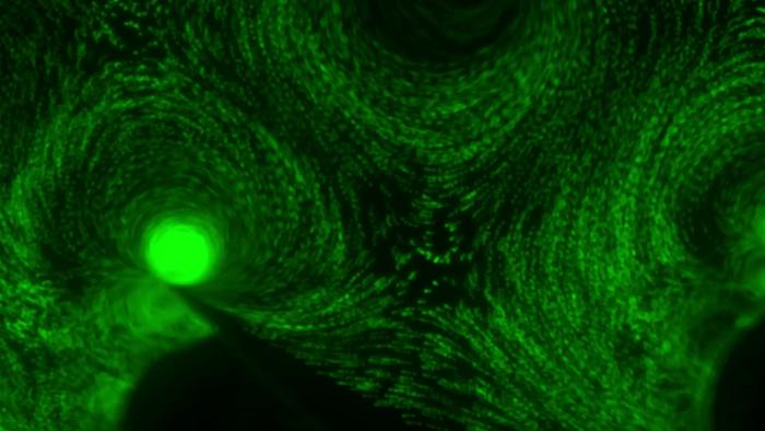 Green Whirlpools Trapping Biomolecules