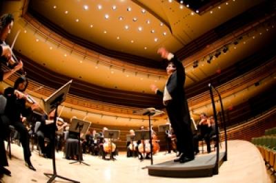 Performing Arts Organizations Open to Study