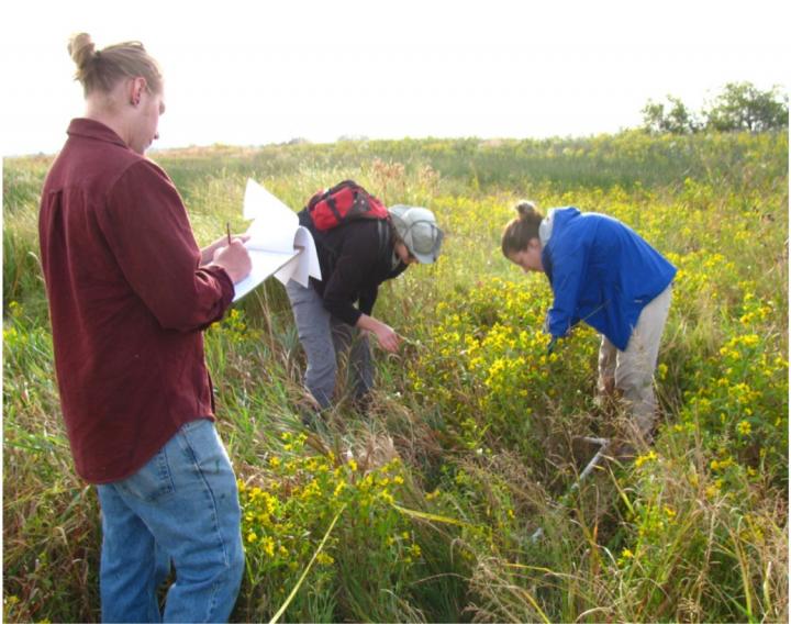 Wetlands Data Collection